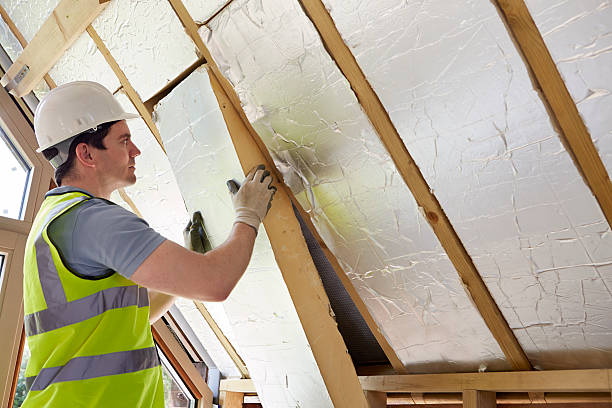 Best Insulation Repair Services  in USA